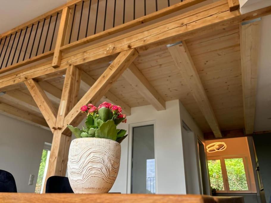 Apartament Zur Donauinsel Bad Abbach